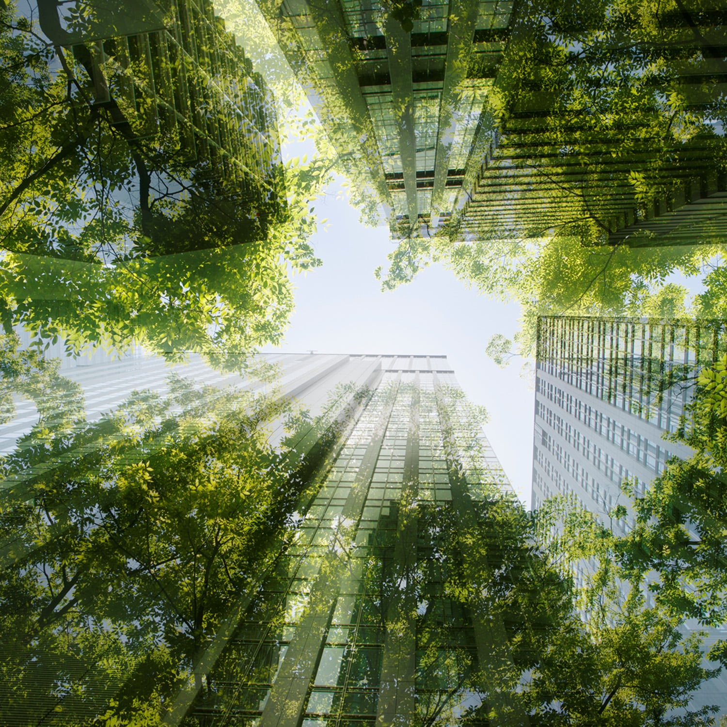 Sustainable & Impact Investing